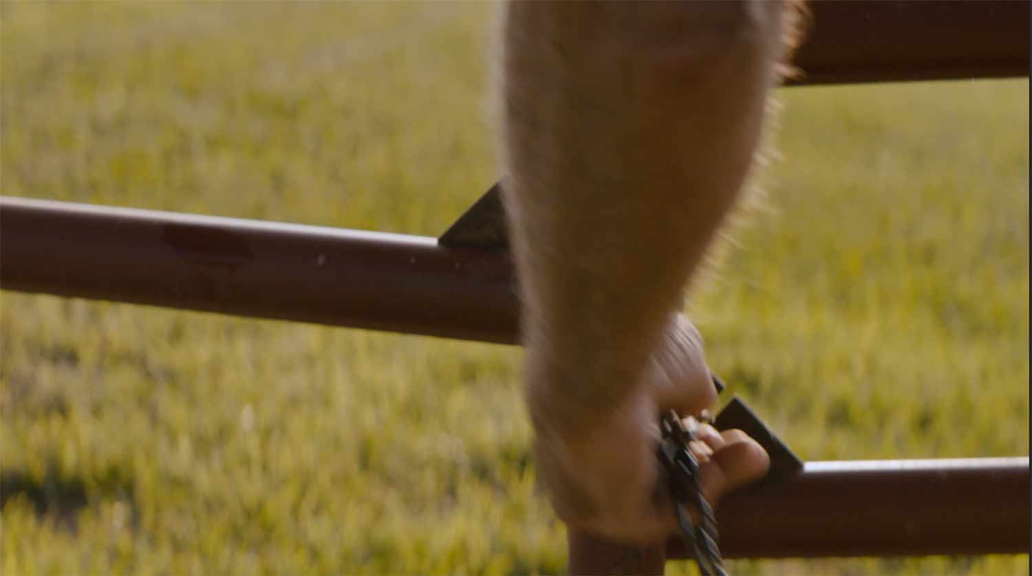 Unrivaled works with brands and agency to help them fix all their creative problems in post.